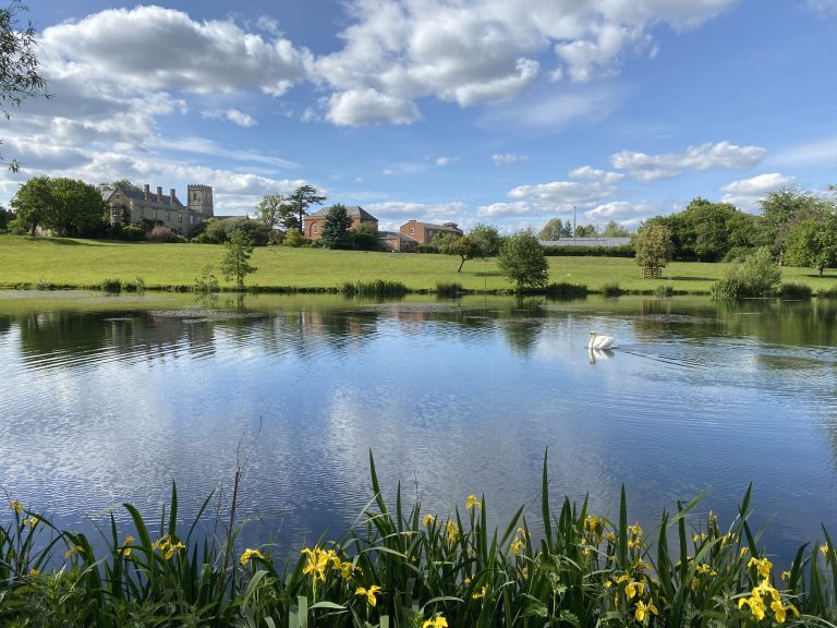 A7C7A4E0 030F 48CF 8E40 3560E81541C8 768x576