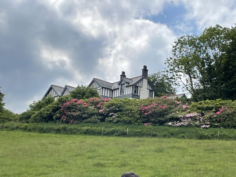 AF169FE4 6E51 432E 8FE5 ABBCF4165CE1 768x576