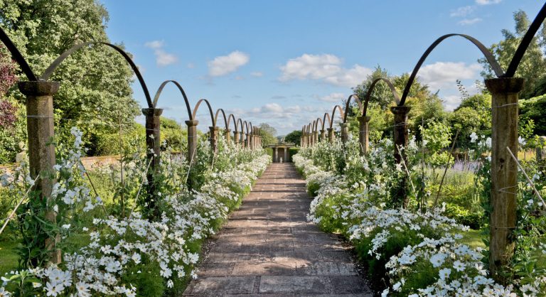 AlexWilsonTempleGardens 768x418