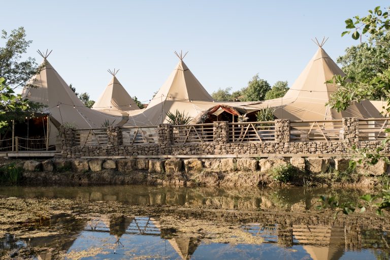 Alexander Weddings 486 768x512