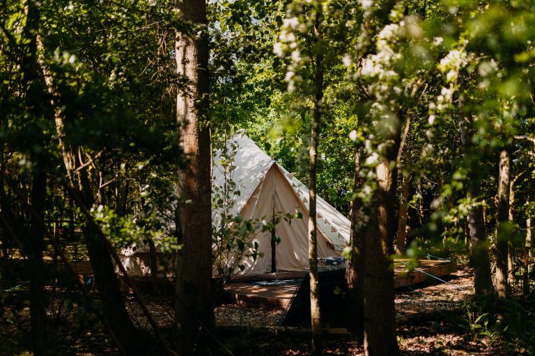 AmberChrisResized 15 768x512