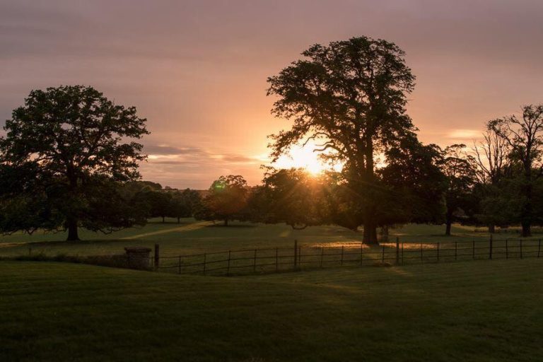 B1253BE2 A257 4CDC A62F 7D683EC57268 768x512