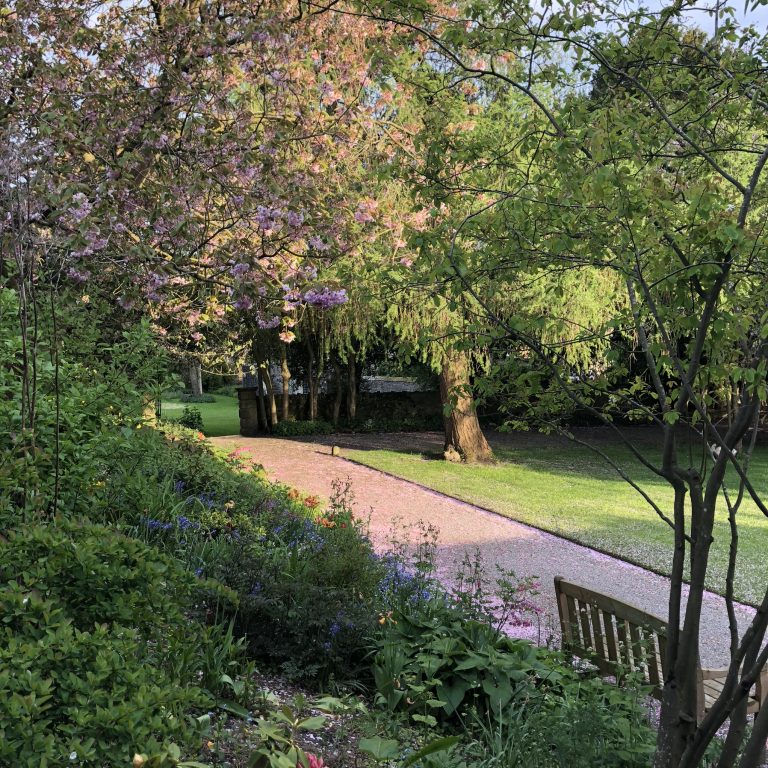 B5E83881 ED38 447C 9818 9EE644542AA3 768x768