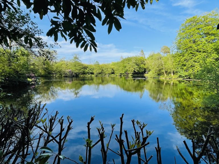 BE63C2A9 23D2 4722 A935 EB37C5C27DF5 768x576