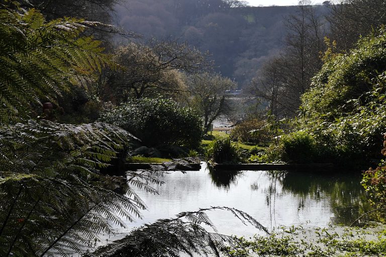 BV Pond River 768x512