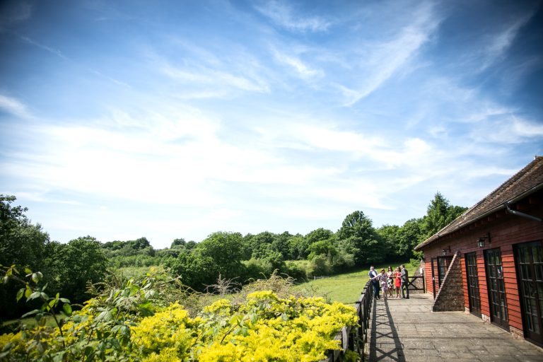 BaileyWedding448 768x512