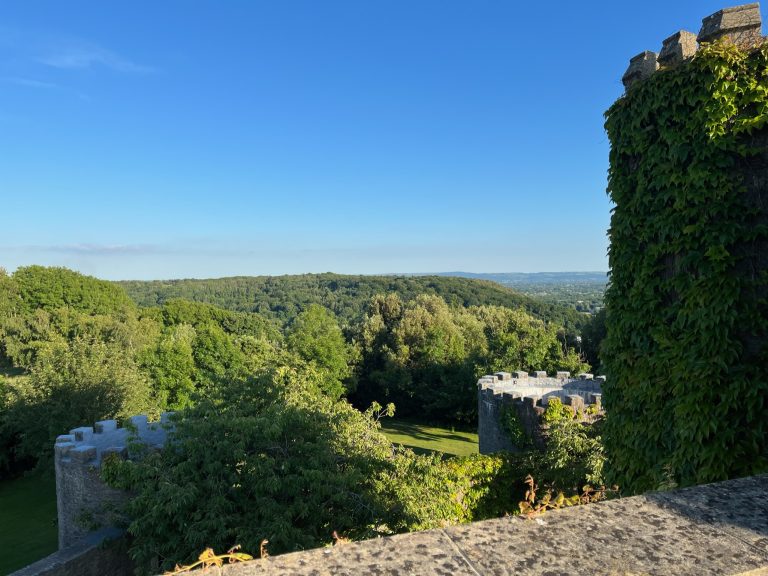 C1B20183 30D6 49E6 9F01 94B8C63B0607 768x576