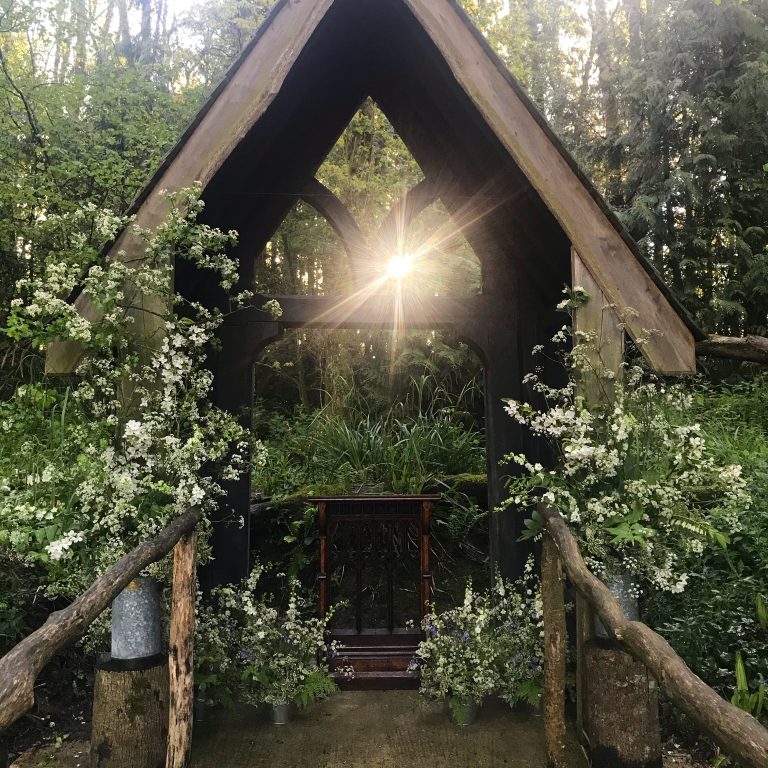 CFA89ED3 31A8 43B7 9352 37B0F91B664B2 1 768x768