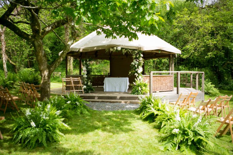 CTW appleBimages 300dpi 7970 768x512