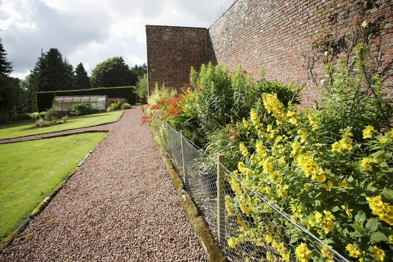 CW 014 melmerby xtra 011 768x512