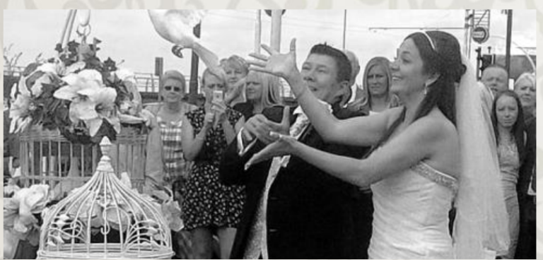 Capture101 mcpifm 768x368