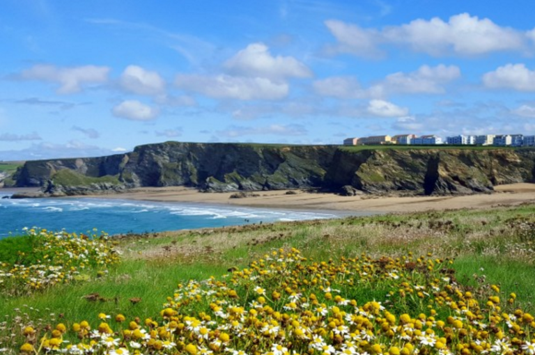 Capture wk1ybv 768x510