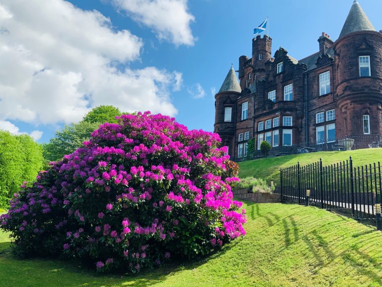 CastleFlowers 768x576