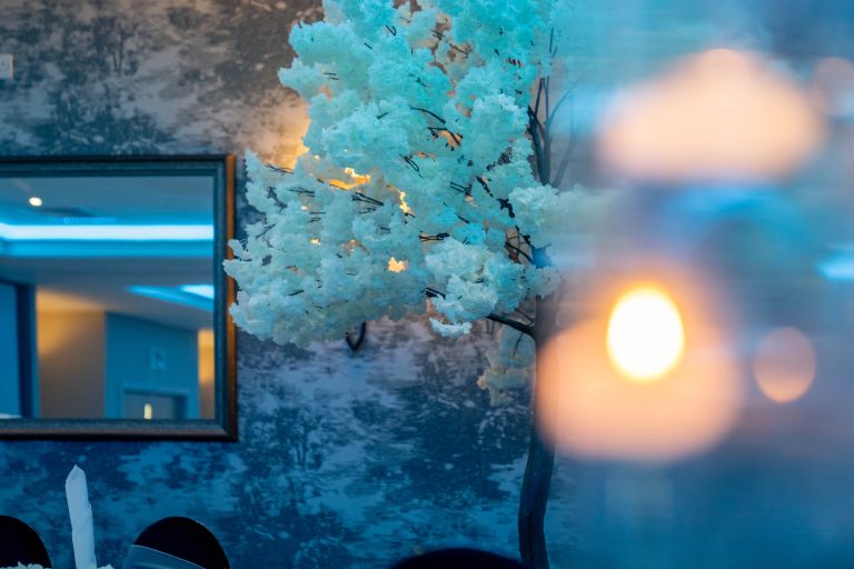 Chestnut.Boston.Utd .Wedding127 768x512