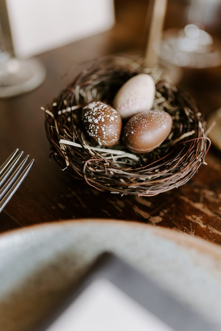 Chloe Ely Photography The Feathered Nest 208 768x1152