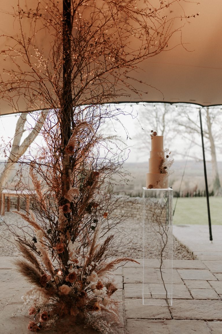 Chloe Ely Photography The Feathered Nest 563 768x1152