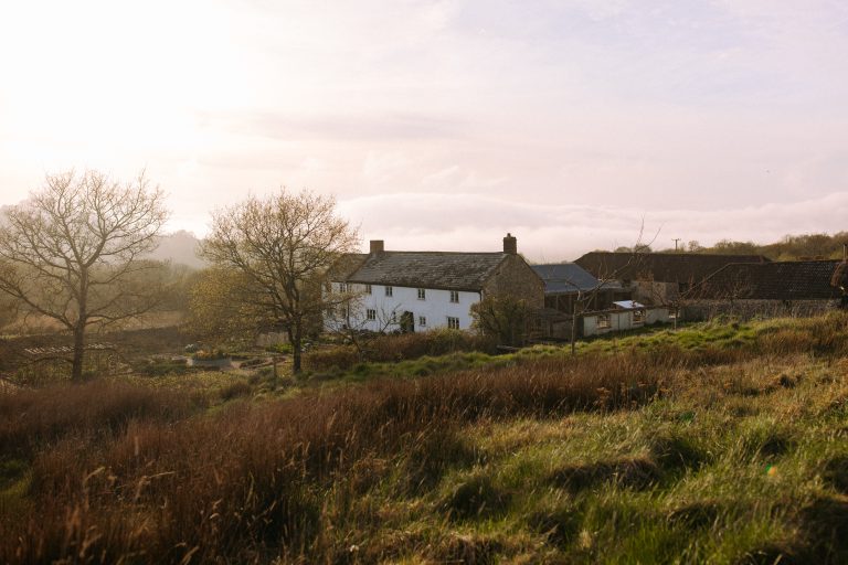 Chris Laura EarlyEveningReception 17 768x512