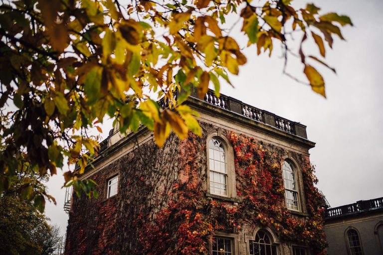 CreditRooStain5 768x512