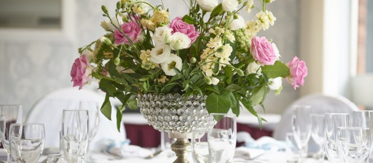 DSC 0027 bdbsi5 768x336