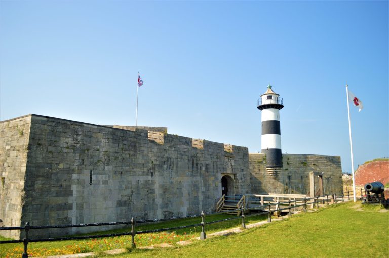 DSC 0880 scaled 768x511