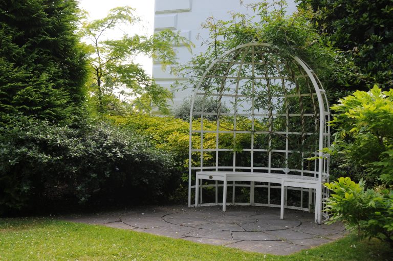 DSC 9399 llxmkf 768x510