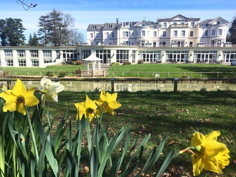 DaffodilOutside 768x576