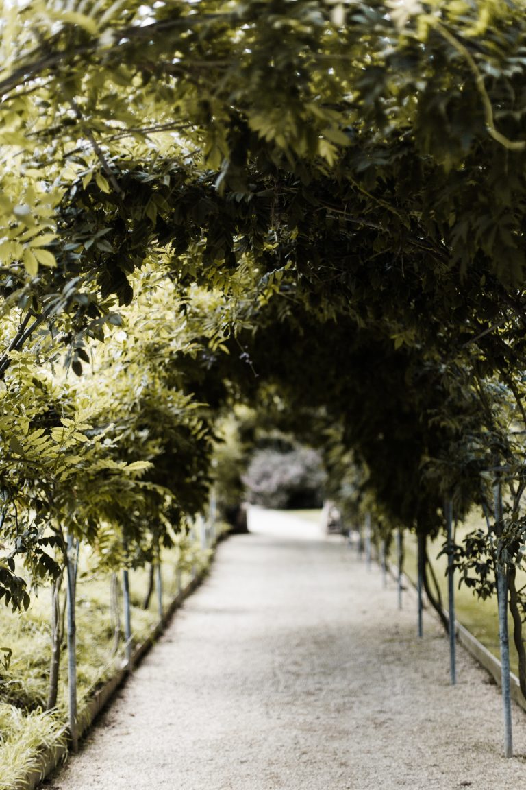 DeerParkAugshoot 208websize 768x1152