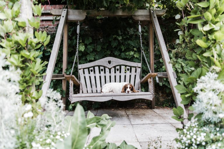 DeerParkAugshoot 20websize 768x512