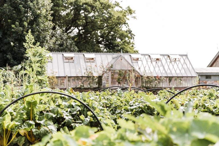 DeerParkAugshoot 33websize 768x512