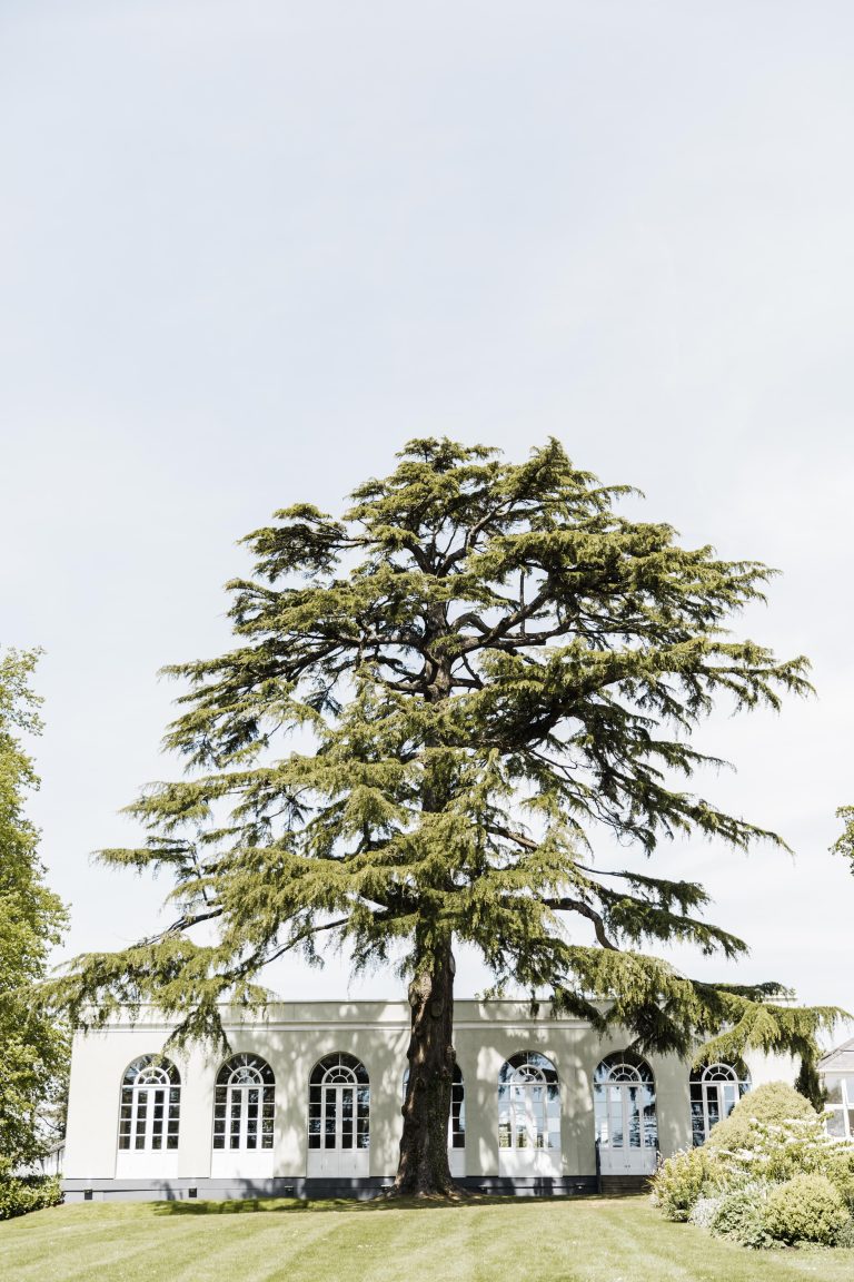 DeerParkGardens 17 768x1152