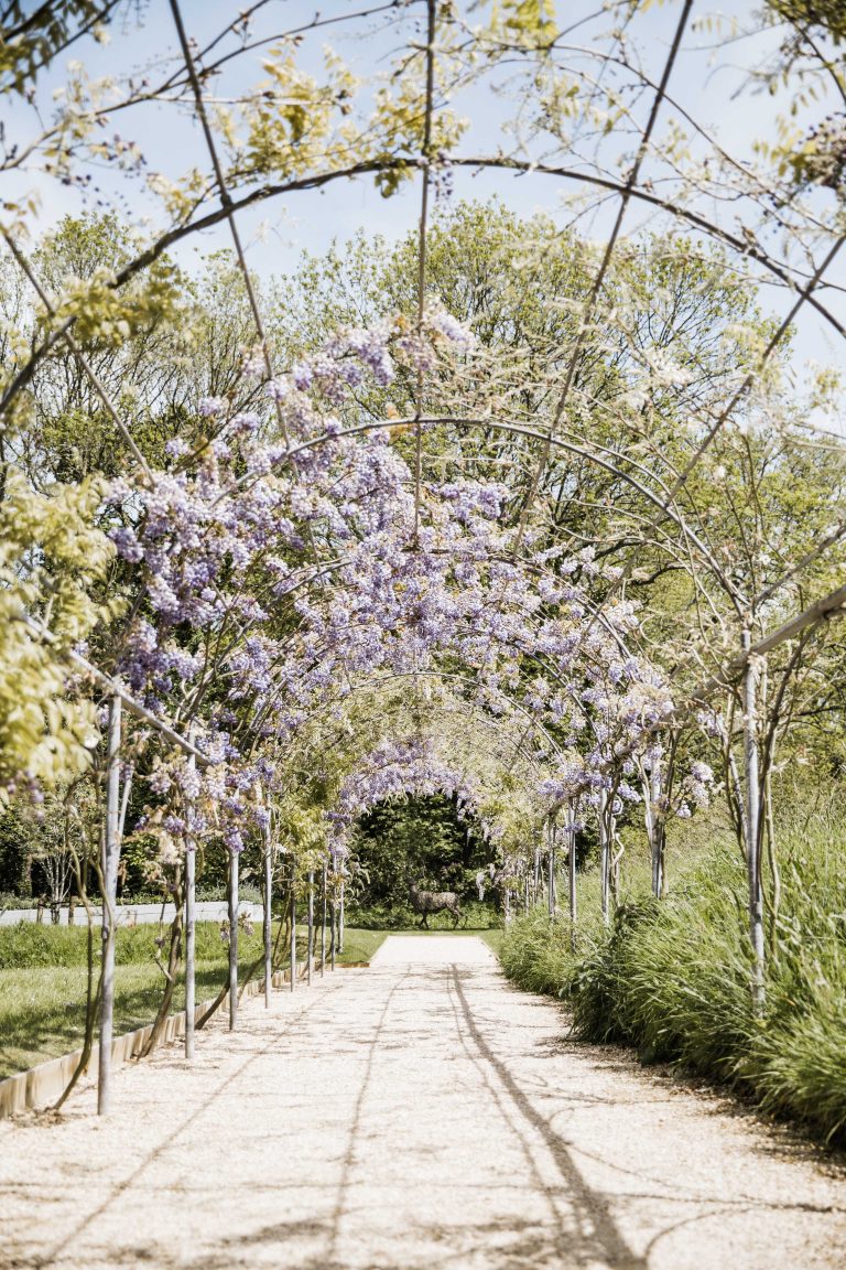 DeerParkGardens 38 768x1152