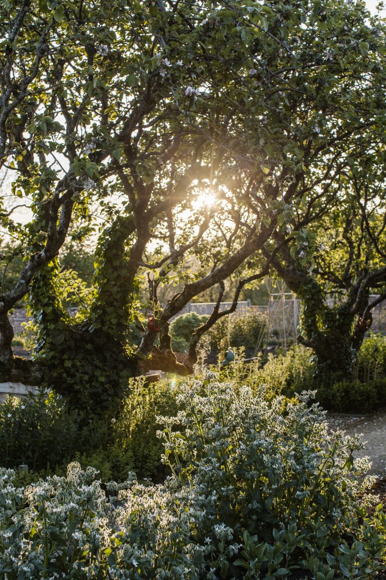 DeerParkGardens 5 768x1152