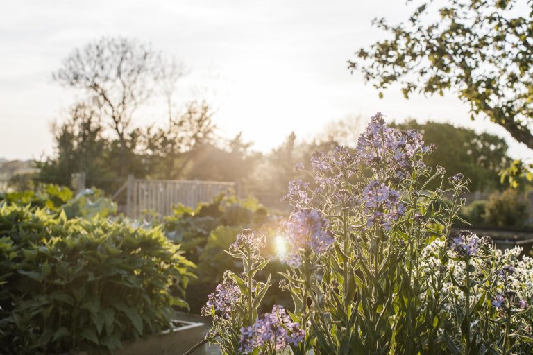 DeerParkGardens 7 768x512