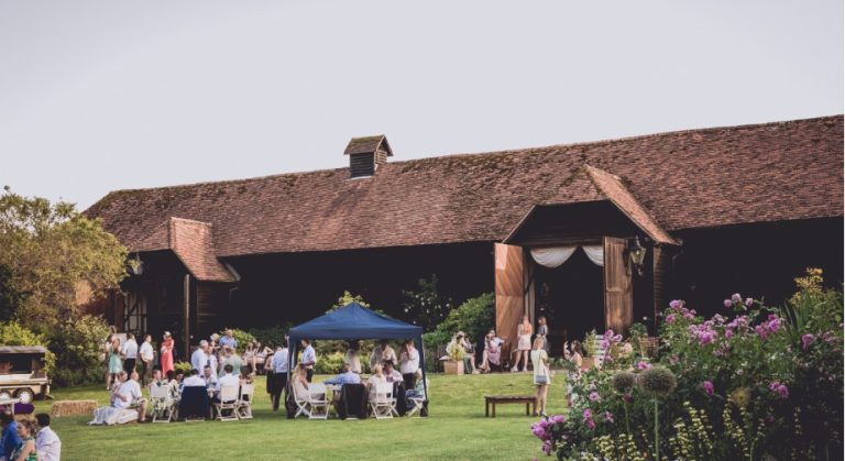 DlyChloesmallerfile 1 768x419