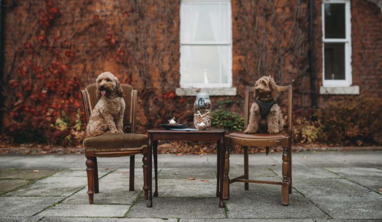 Dog Friendly Hotel and Restauranty Grimsby 4 1200x700 1 768x448