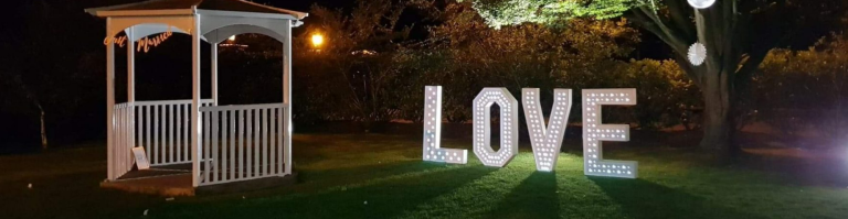 DowneArmsCoutryInn 768x199