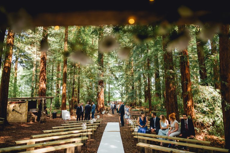 Downthewoodswedding CheBirch Hayes 768x512