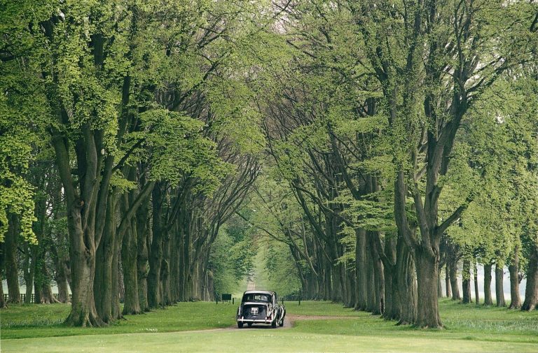 Drive Way ft3xzt 768x505