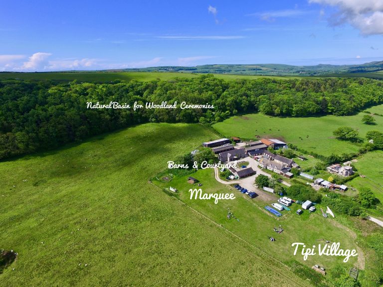 E09B84A8 50BA 4CA2 8BB0 EA52F63F993C 768x576