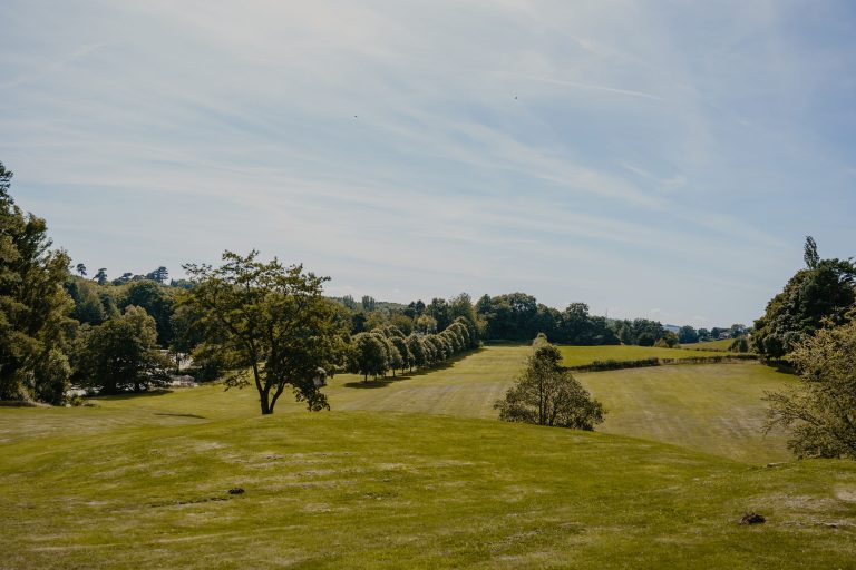 E5D6E3BF 3C96 40F0 B455 E7E43291469A 768x512