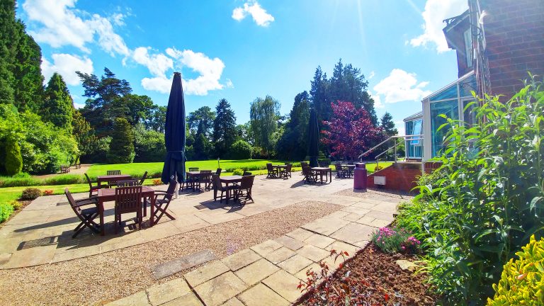 ExternalWoodlandBackdrop 768x432