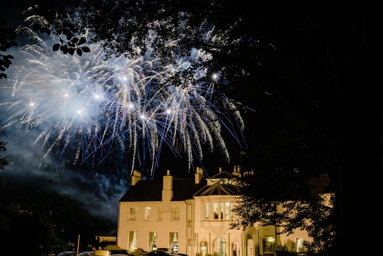 Fireworks 17 768x513