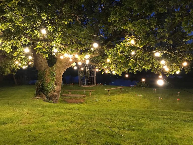 FreeformImages 5 768x576