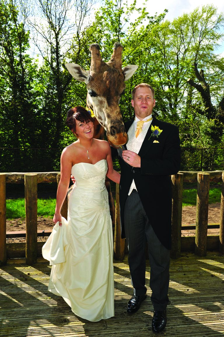 Giraffe Image mo2aww 768x1154