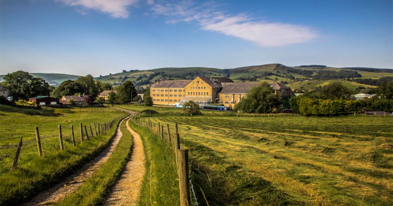 GracefulSwan17 768x403