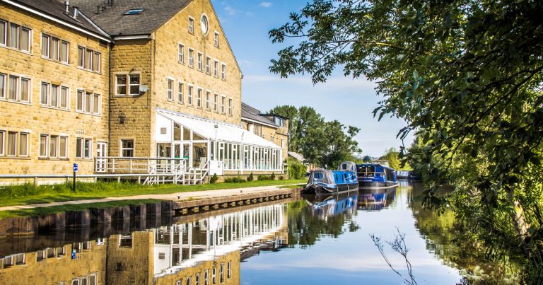 GracefulSwan41 1 768x403