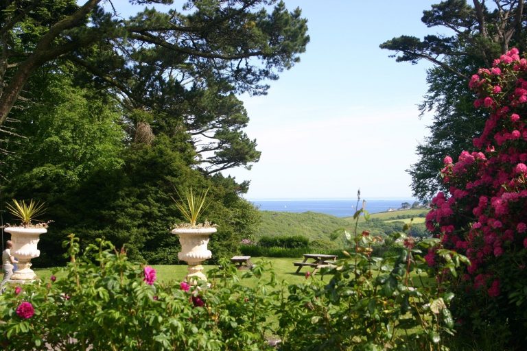 Grounds 2 wg5gtv 768x512