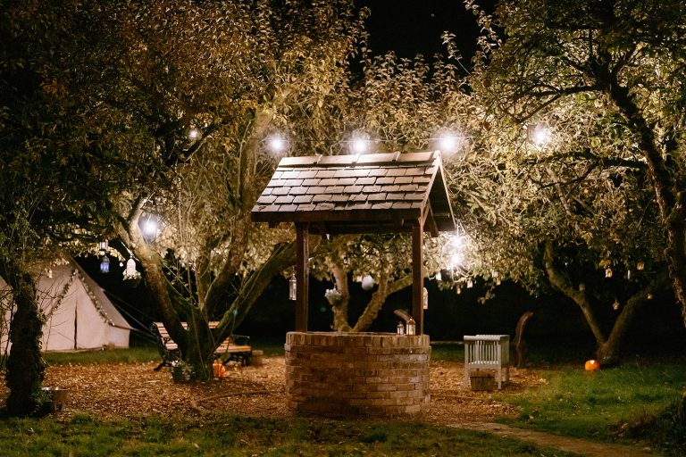 Groundsintheevening2 768x512