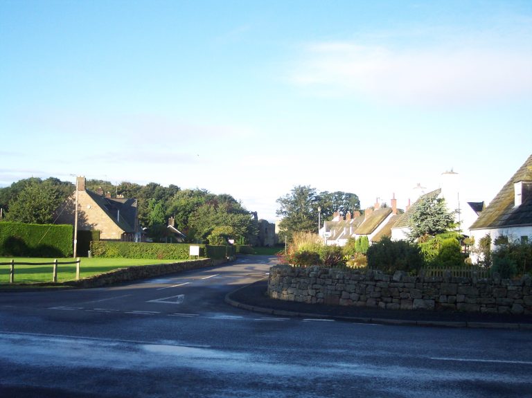 Halloween 2008 041 ouucri 768x575