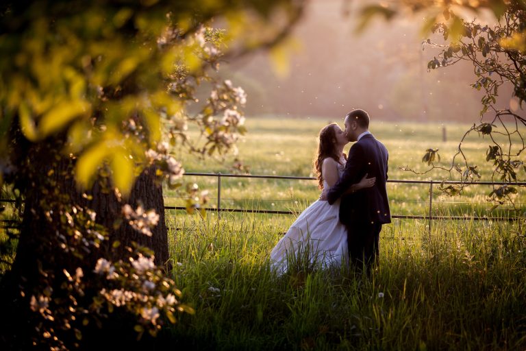 Hartnoll 36 h4cgyk 768x512